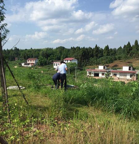 ȫ�Ԅ�(d��ng)��ˮ�O(sh��)�䡪���r(n��ng)�弯�й�ˮ����